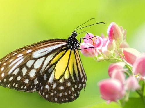 3月开始,4生肖苦日子不再有,好日子享不尽,财旺福气旺