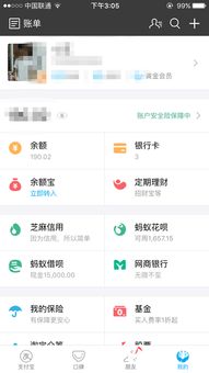 支付宝的网商贷不是借呗吗 改名了不能借几个月了吗只能一年了吗