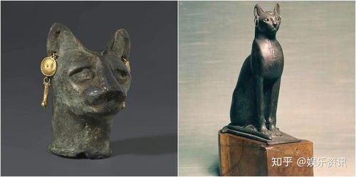 谷宝科普 埃及猫神到底是什么品种的猫,神话故事中为什么有它 