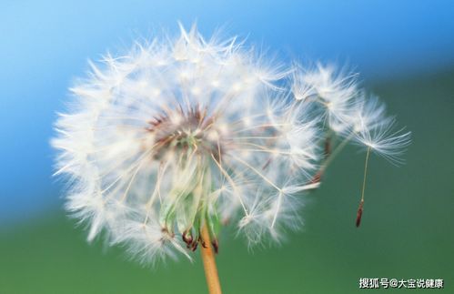 积极乐观风景唯美的句子