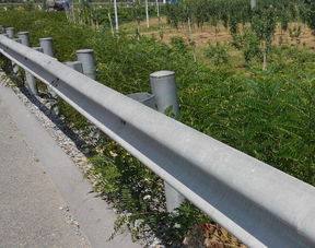陕西高速公路护栏安装 更换使用什么样的设备效果才好 