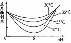 14.太空育种是指利用太空综合因素如强辐射.微重力等.诱导由宇宙飞船携带的种子发 生变异.然后进行培育的一种育种方法.下列说法正确的是 A.太空育种产生的突变总是有益的 