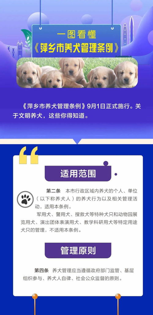 一图看懂 萍乡市养犬管理条例