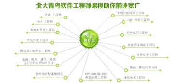 学习Java软件工程师未来有哪些就业方向？