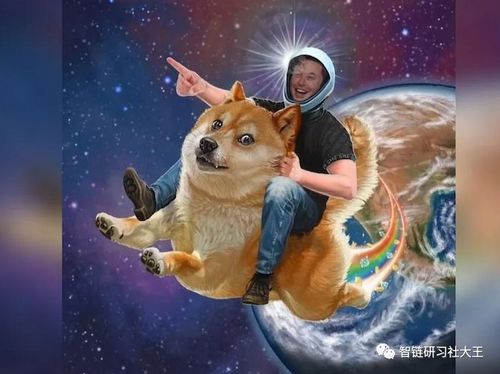 doge币最新价格,狗狗币2024年2月会牛吗