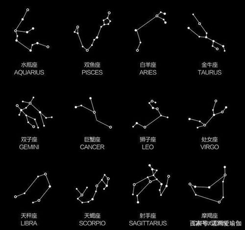 当12星座遇上瑜伽,哪个体式最能代表你