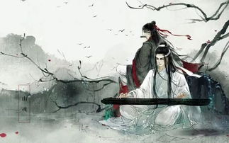 魔道祖师 只羡忘羡不羡仙,说是天天就天天 