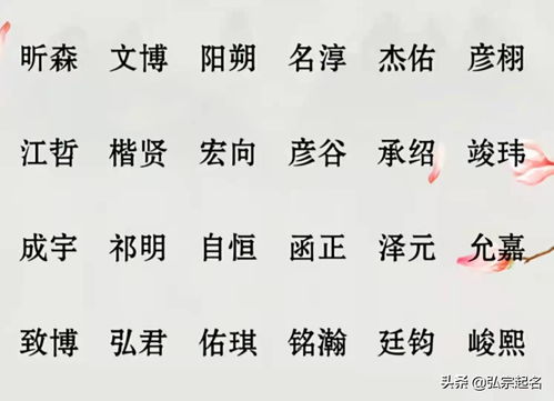 宝宝起名 生个男孩,起这些名字,一听就知道来自富有人家 