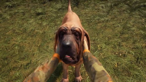 猎人 荒野的呼唤 新 狩猎犬 DLC预告 嗅血寻踪