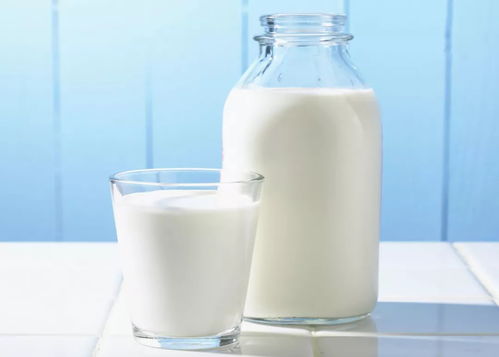 你经常喝牛奶吗 牛奶这样喝等于白喝,对身体还有不好的影响