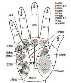 手相算命图解 非常运势算命网,算命最准的网站 