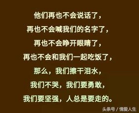 孩子,你可以恨任何人,唯独不能恨这两个人 每个人都应该看看