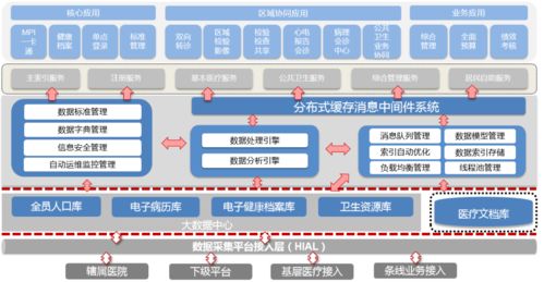 河北省脊柱侧弯检测互联互通平台如何使用(互联互通虚拟主机账号登录)