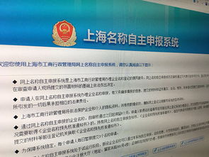 上海允许企业网上取名改名,有人10分钟收到审核通过短信 