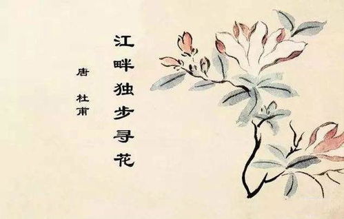 杜甫的关于花的诗句有哪些