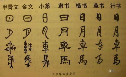 70年代的 汉字二次简化 ,虽然失败,但很多人的姓氏由此改变