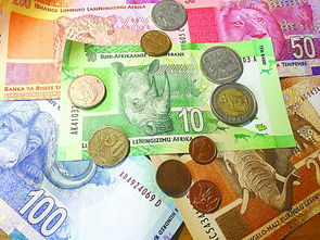 南非通用货币是什么币型