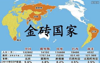 金磚五國(guó)是哪五國(guó)  第1張