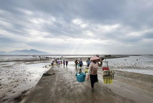 大连哪里可以赶海 有哪些十大捕海圣地推荐 (外沙岛免费停车场在哪里)