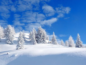 42张高清大图 欣赏全球最美的雪景套图 第26张 