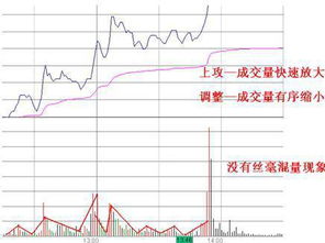 怎么才能看出股票涨停呀