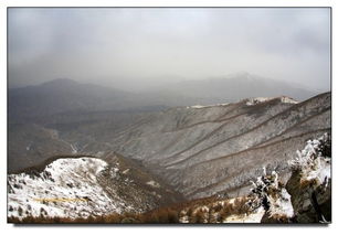 踏雪西灵山