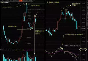 金子天正这个股票大家认为怎样