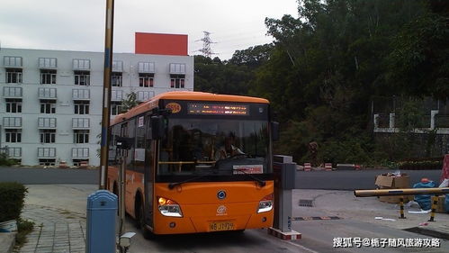 深圳市的8种公交类型一览