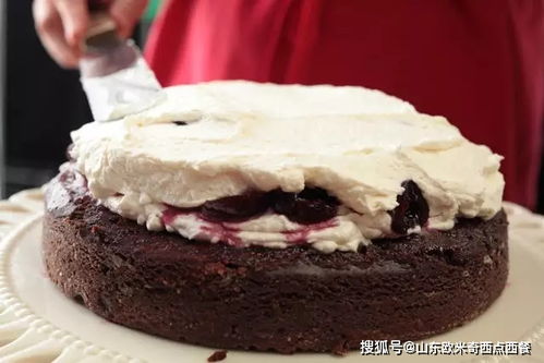 山东欧米奇配方分享 要做就要惊艳到底 来做一个树桩蛋糕吧
