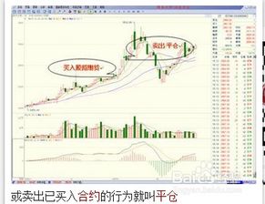 在使用aetos-mt4外汇平台时，能从不同的计算机或设备登录交易帐户吗？