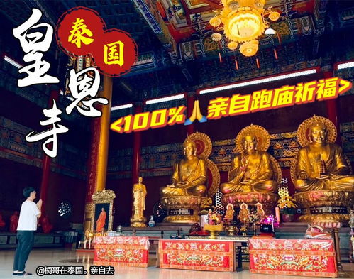 龙莲寺化太岁 第1期 2022年犯太岁的生肖你上榜了吗