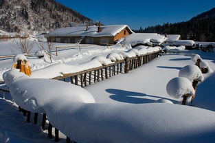 哈尔滨 雪乡游记