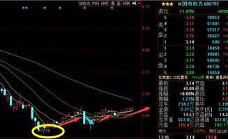 600795国电电力 后市如何 谢谢