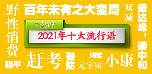 咬文嚼字 年度流行语