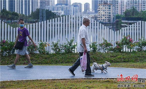 海口修订养犬管理条例 市民建议 设过渡期落地 一户一犬