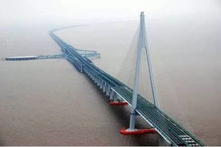 还有2个月,全球最长跨海港珠澳大桥全线贯通 广州街坊2小时到香港不是梦
