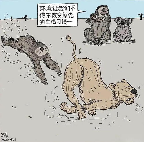 生活是苦难的 我又划着断桨出发