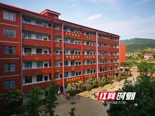 湖南祁东县城连圩成龙学校与启航是挂靠还是股份？