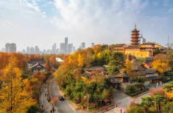 鸡鸣寺门票,南京鸡鸣寺攻略 地址 图片 门票价格 