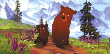熊出没 细数动画里那些经典的 熊 角色 