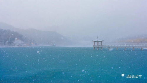 浪花造句一年级,雪白的浪花还是白茫茫的浪花？