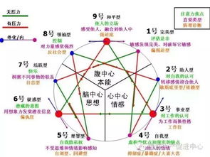 九型人格大详解,来看看那些企业家都是哪种人格 