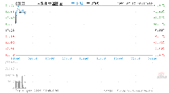 请问A股市场可以融券沽空是什么意思?