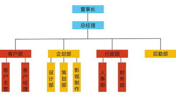 根据股份公司中股东权益的不同来设置股权，可将股权划分为那两种形式？