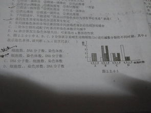 高中生物。这里A图表示的是什么图？还有这里2n这是代表细胞什么意思？是间期有两对同源染色体，还是只