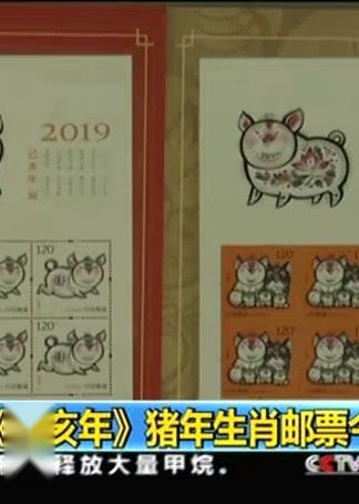己亥年 猪年生肖邮票今发行 