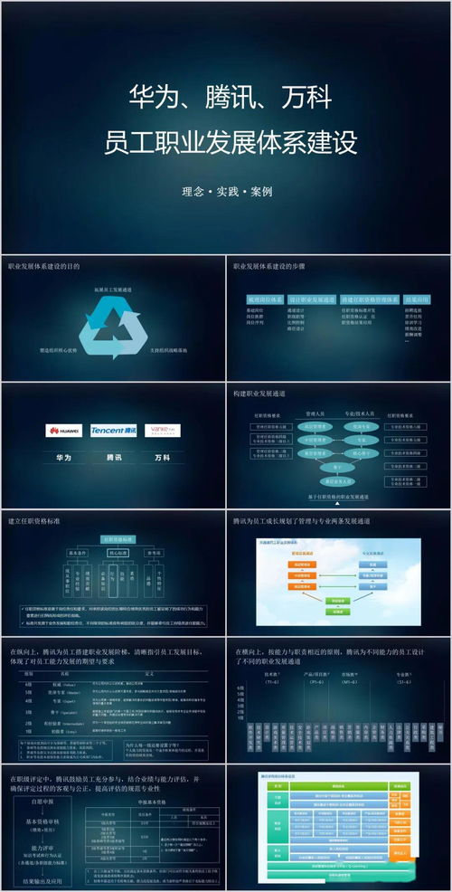 2020011期 职业晋升双通道设计方案 宝洁 华为案例 实施范本