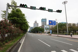 十字路口左转弯时是看前面的红绿灯 还是看左边的红绿灯为准 