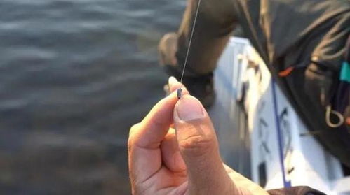 试一试单钩钓鱼,它比之双钩有七大优势
