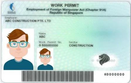 准毕业生必读 新加坡工作准证与劳动法令 打工人,你被坑了吗